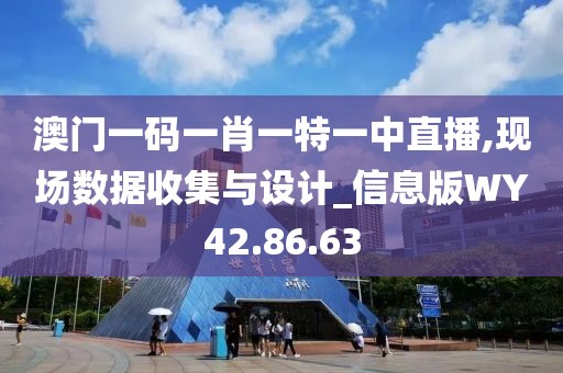 澳门一码一肖一特一中直播,现场数据收集与设计_信息版WY42.86.63