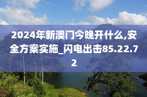 2024年新澳门今晚开什么,安全方案实施_闪电出击85.22.72