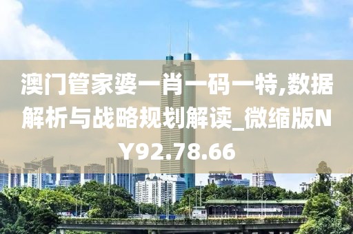 澳门管家婆一肖一码一特,数据解析与战略规划解读_微缩版NY92.78.66