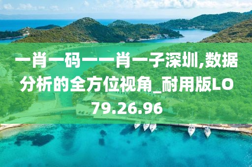 一肖一码一一肖一子深圳,数据分析的全方位视角_耐用版LO79.26.96
