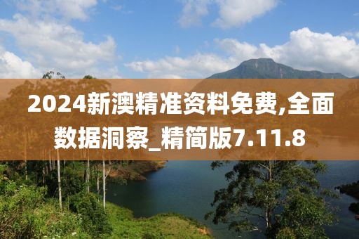 2024新澳精准资料免费,全面数据洞察_精简版7.11.8