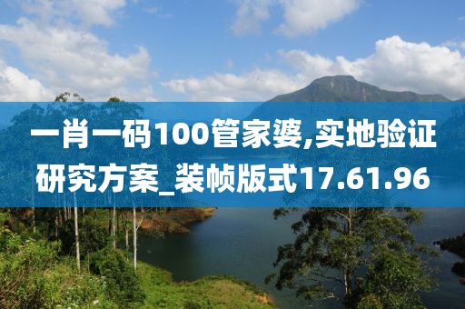 一肖一码100管家婆,实地验证研究方案_装帧版式17.61.96