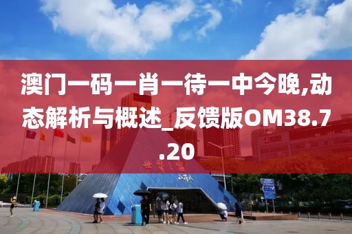 澳门一码一肖一待一中今晚,动态解析与概述_反馈版OM38.7.20