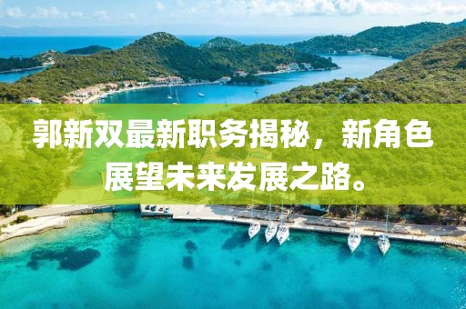 郭新双最新职务揭秘，新角色展望未来发展之路。