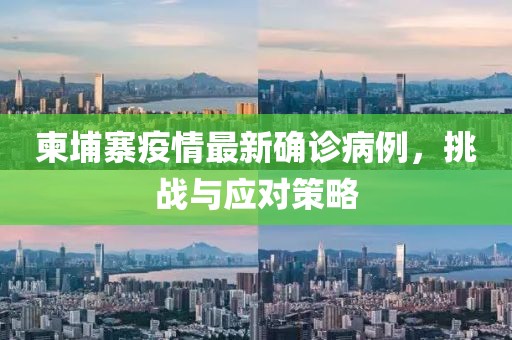 柬埔寨疫情最新确诊病例，挑战与应对策略
