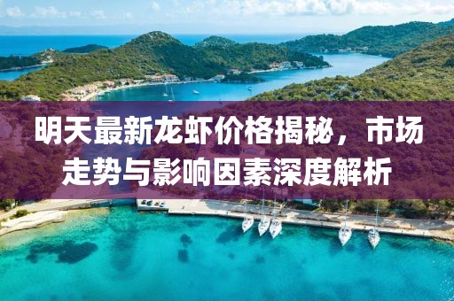 读不懂你 第24页