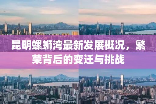 昆明螺蛳湾最新发展概况，繁荣背后的变迁与挑战