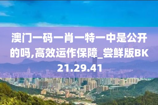 澳门一码一肖一特一中是公开的吗,高效运作保障_尝鲜版BK21.29.41