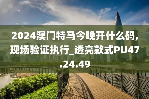 2024澳门特马今晚开什么码,现场验证执行_透亮款式PU47.24.49