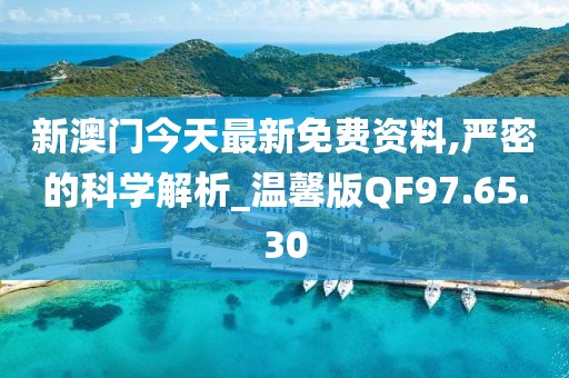 新澳门今天最新免费资料,严密的科学解析_温馨版QF97.65.30