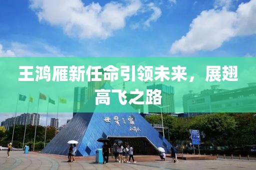 王鸿雁新任命引领未来，展翅高飞之路