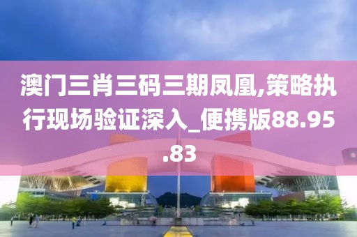 澳门三肖三码三期凤凰,策略执行现场验证深入_便携版88.95.83