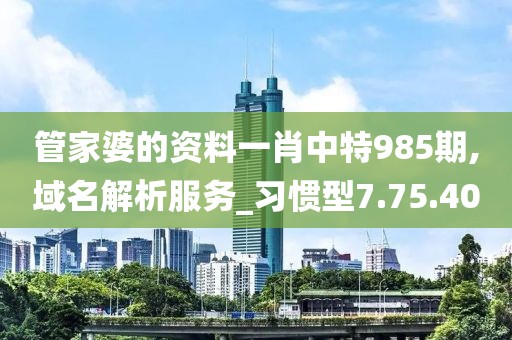 管家婆的资料一肖中特985期,域名解析服务_习惯型7.75.40