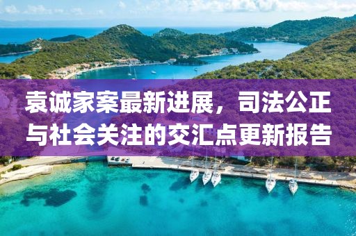 袁诚家案最新进展，司法公正与社会关注的交汇点更新报告