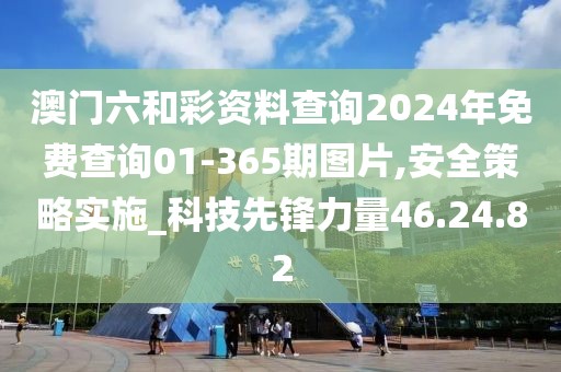 澳门六和彩资料查询2024年免费查询01-365期图片,安全策略实施_科技先锋力量46.24.82