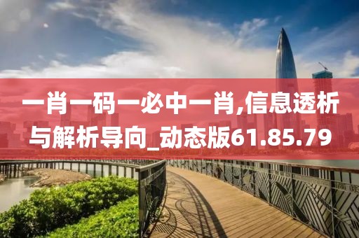 一肖一码一必中一肖,信息透析与解析导向_动态版61.85.79