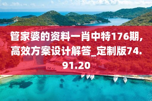 管家婆的资料一肖中特176期,高效方案设计解答_定制版74.91.20