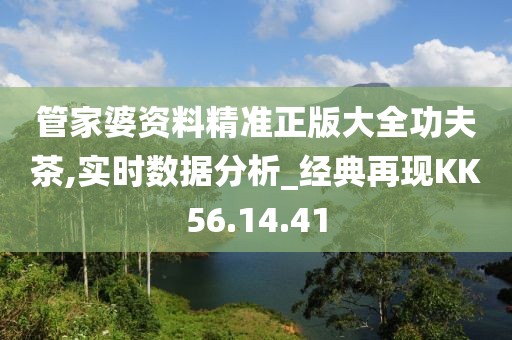 管家婆资料精准正版大全功夫茶,实时数据分析_经典再现KK56.14.41