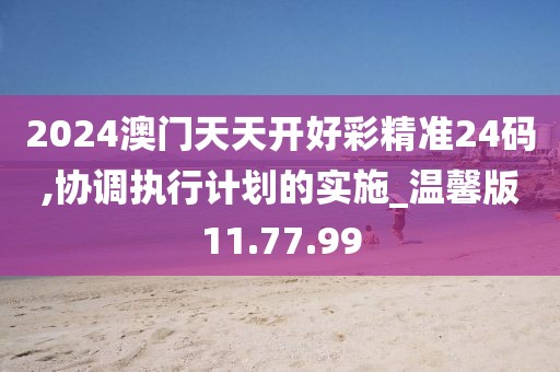 2024澳门天天开好彩精准24码,协调执行计划的实施_温馨版11.77.99