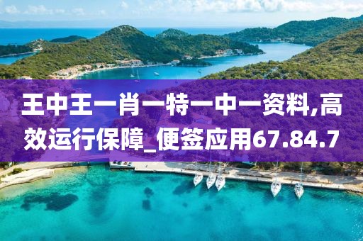 王中王一肖一特一中一资料,高效运行保障_便签应用67.84.70