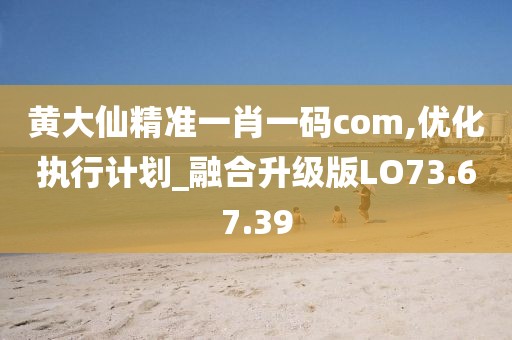黄大仙精准一肖一码com,优化执行计划_融合升级版LO73.67.39