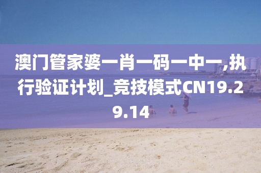 澳门管家婆一肖一码一中一,执行验证计划_竞技模式CN19.29.14