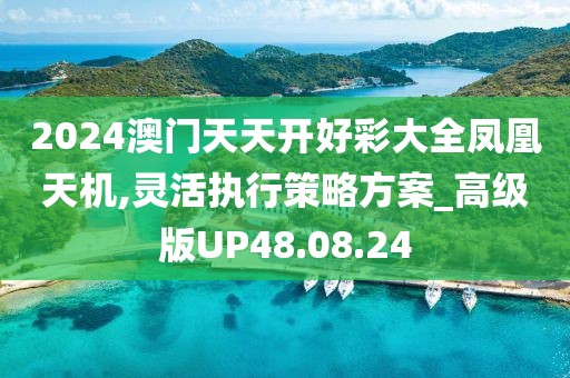 2024澳门天天开好彩大全凤凰天机,灵活执行策略方案_高级版UP48.08.24