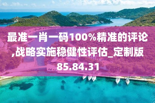 最准一肖一码100%精准的评论,战略实施稳健性评估_定制版85.84.31