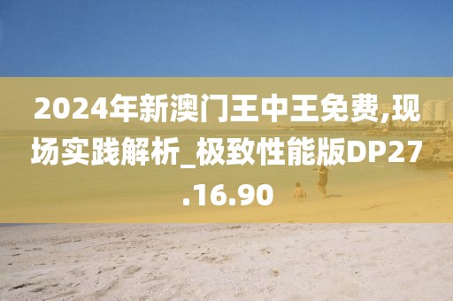 2024年新澳门王中王免费,现场实践解析_极致性能版DP27.16.90