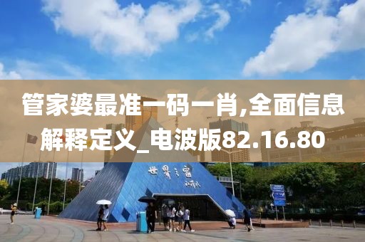 管家婆最准一码一肖,全面信息解释定义_电波版82.16.80