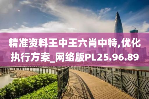 精准资料王中王六肖中特,优化执行方案_网络版PL25.96.89