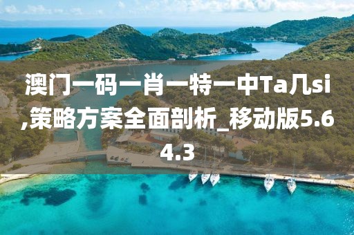 澳门一码一肖一特一中Ta几si,策略方案全面剖析_移动版5.64.3