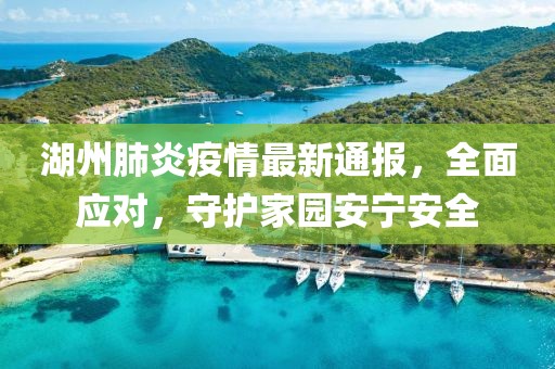 湖州肺炎疫情最新通报，全面应对，守护家园安宁安全