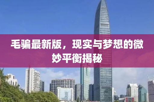 毛骗最新版，现实与梦想的微妙平衡揭秘