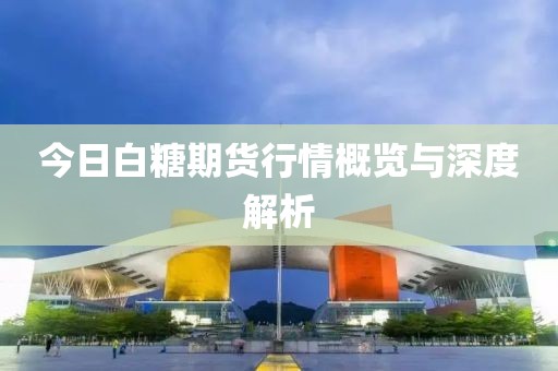 今日白糖期货行情概览与深度解析