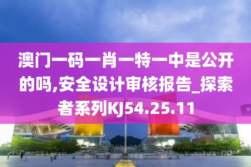 澳门一码一肖一特一中是公开的吗,安全设计审核报告_探索者系列KJ54.25.11