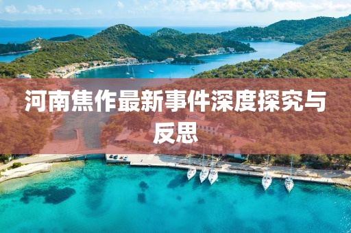 河南焦作最新事件深度探究与反思