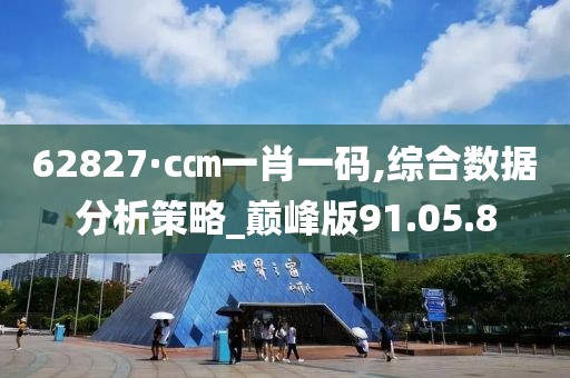 62827·c㎝一肖一码,综合数据分析策略_巅峰版91.05.8