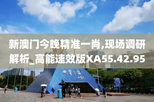 新澳门今晚精准一肖,现场调研解析_高能速效版XA55.42.95