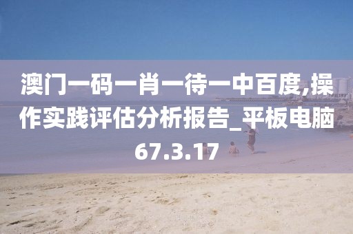 澳门一码一肖一待一中百度,操作实践评估分析报告_平板电脑67.3.17