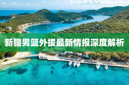 新疆男篮外援最新情报深度解析