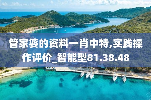 管家婆的资料一肖中特,实践操作评价_智能型81.38.48