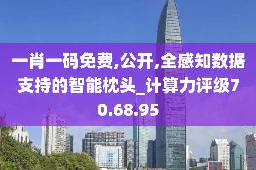 一肖一码免费,公开,全感知数据支持的智能枕头_计算力评级70.68.95
