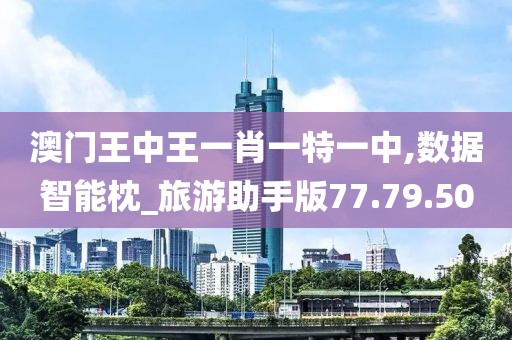 澳门王中王一肖一特一中,数据智能枕_旅游助手版77.79.50