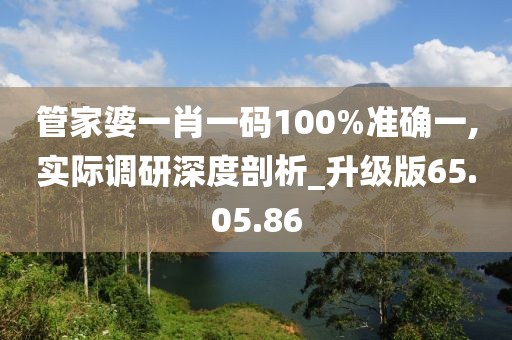 管家婆一肖一码100%准确一,实际调研深度剖析_升级版65.05.86