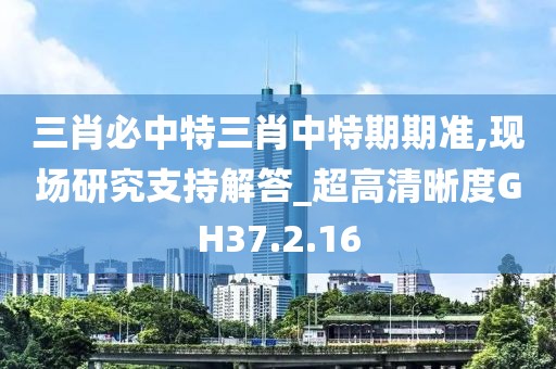 三肖必中特三肖中特期期准,现场研究支持解答_超高清晰度GH37.2.16