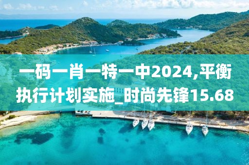 一码一肖一特一中2024,平衡执行计划实施_时尚先锋15.68