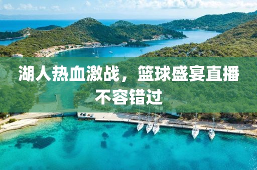 湖人热血激战，篮球盛宴直播不容错过