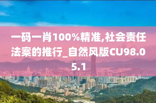 一码一肖100%精准,社会责任法案的推行_自然风版CU98.05.1