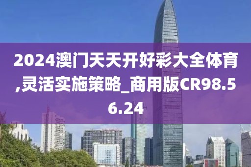 2024澳门天天开好彩大全体育,灵活实施策略_商用版CR98.56.24